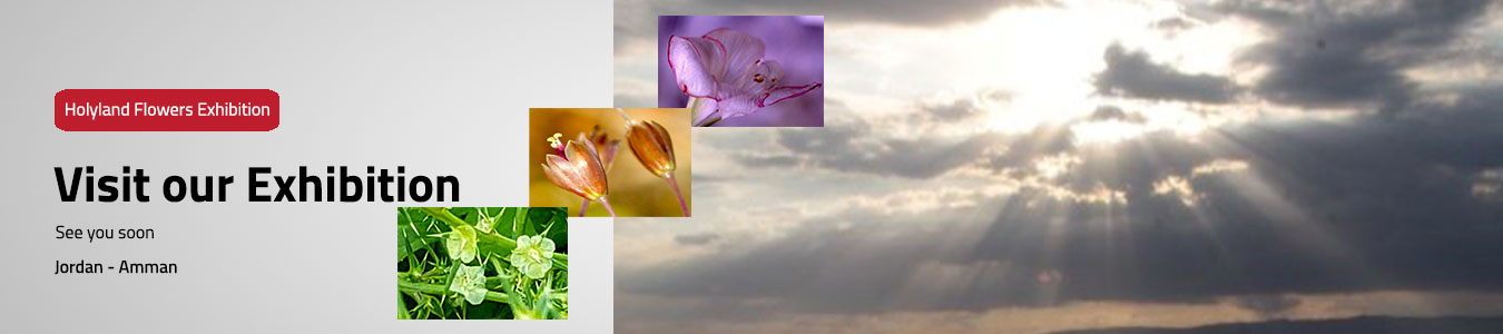 Offer banner